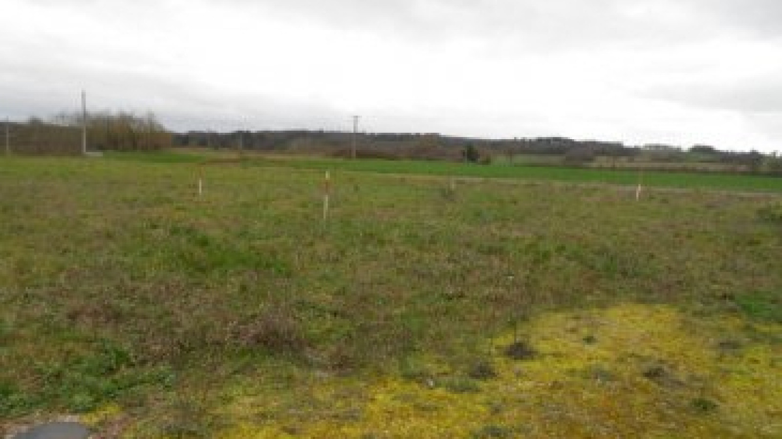 Terrain constructible de 1220m2 à Vicq-sur-Gartempe