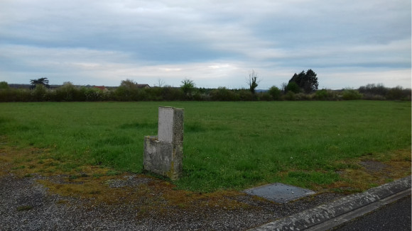 20180413_083741 (1).jpg