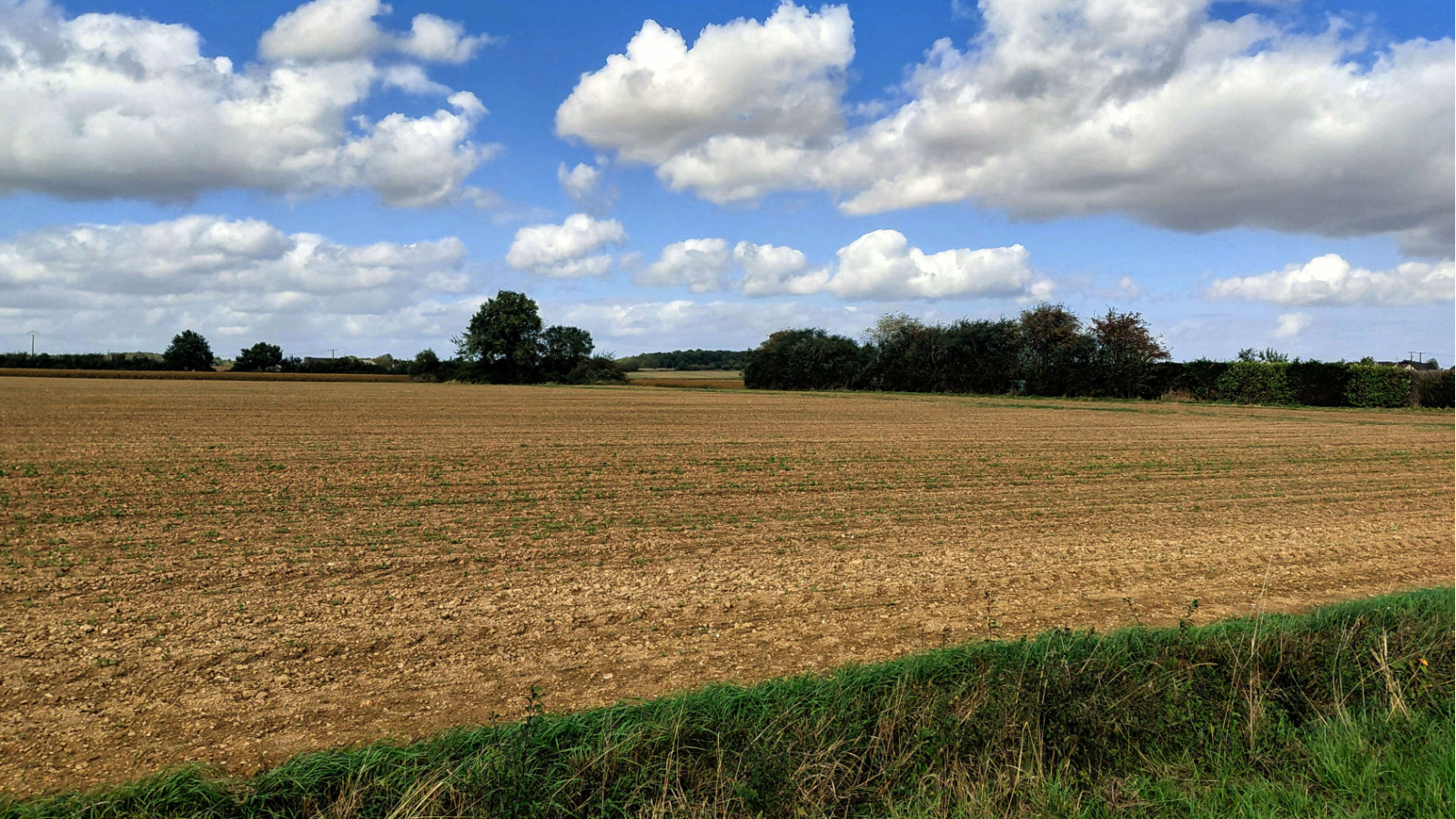 Terrain constructible de 510m2 à Saint-Laurent-en-Gâtines