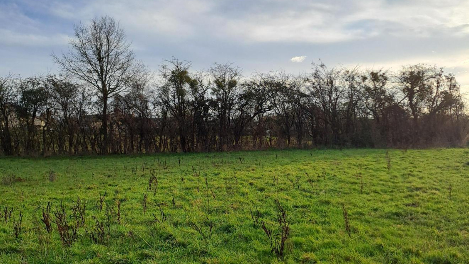 Terrain constructible de 444m2 à Val d'Erdre-Auxence