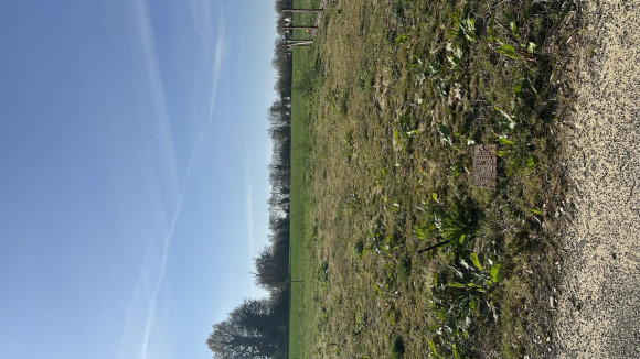 Lot 11 segré court pivert.jpg