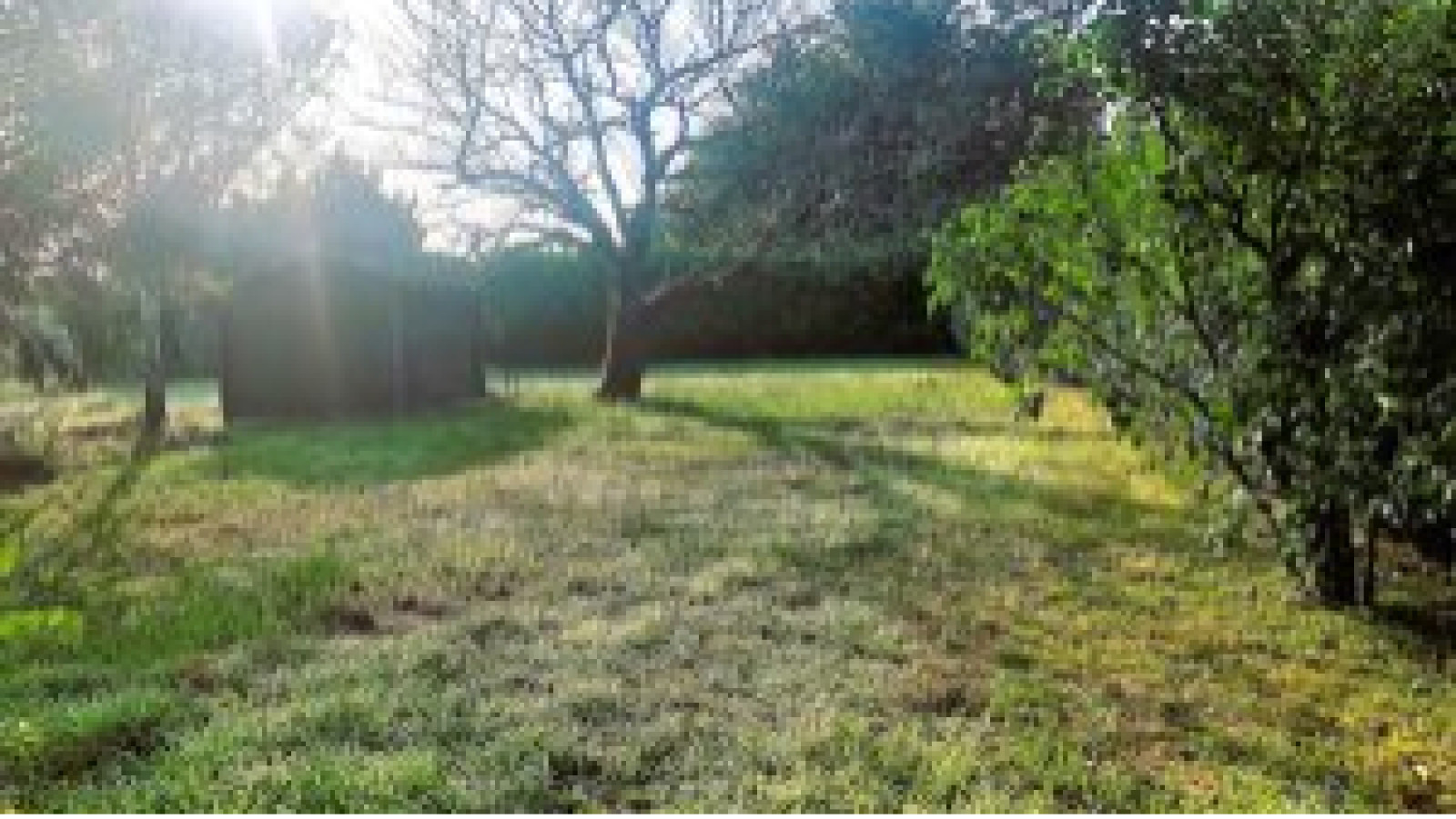 Terrain constructible de 500m2 à Cadaujac