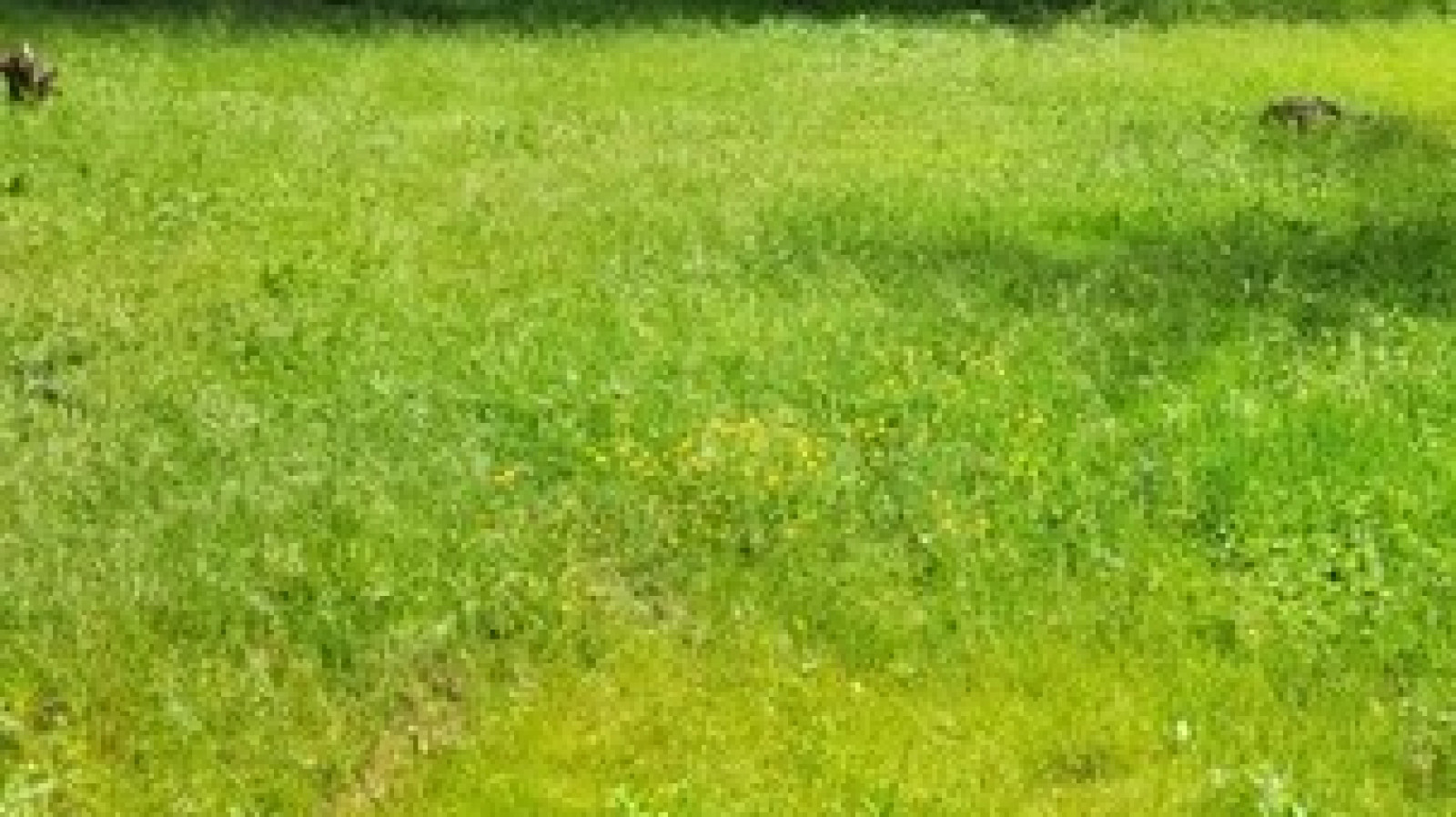 Terrain constructible de 1320m2 à Saint-Avertin