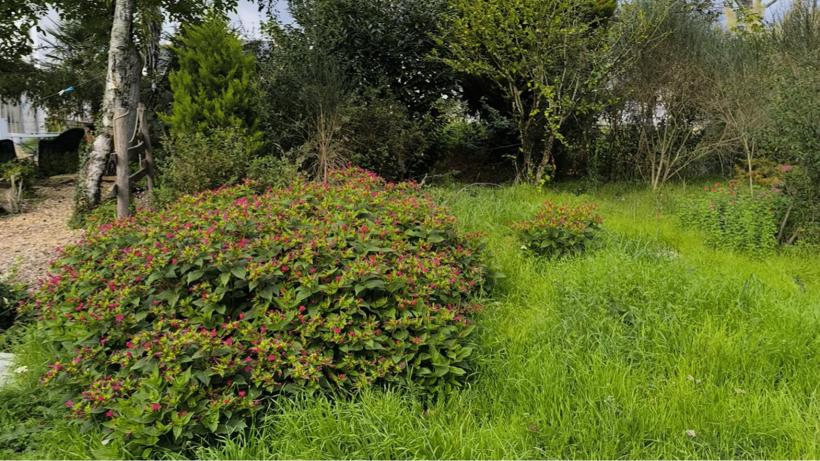 Terrain constructible de 400m2 à Pontchâteau