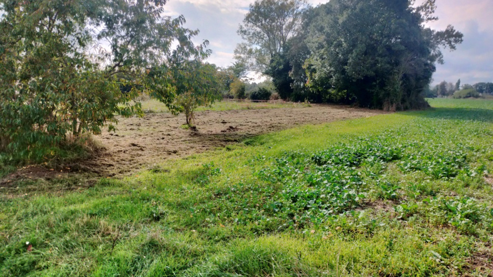 Terrain constructible de 554m2 à Saint-Paterne-Racan