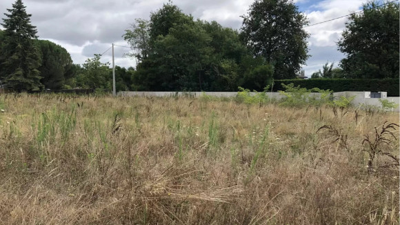 Terrain diffus la brède.jpeg