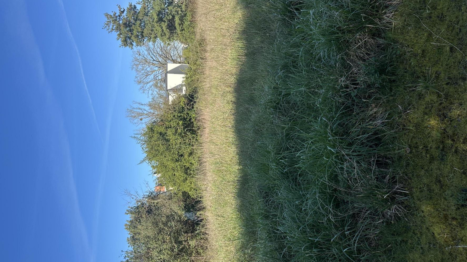 Terrain constructible de 551m2 à Saint-Barthélemy-d'Anjou