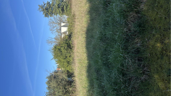 Lot 5 saint barthelemy.jpg