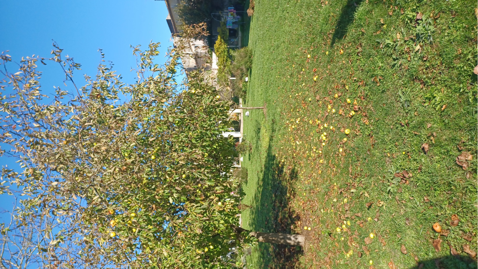 Terrain constructible de 600m2 à Bassens