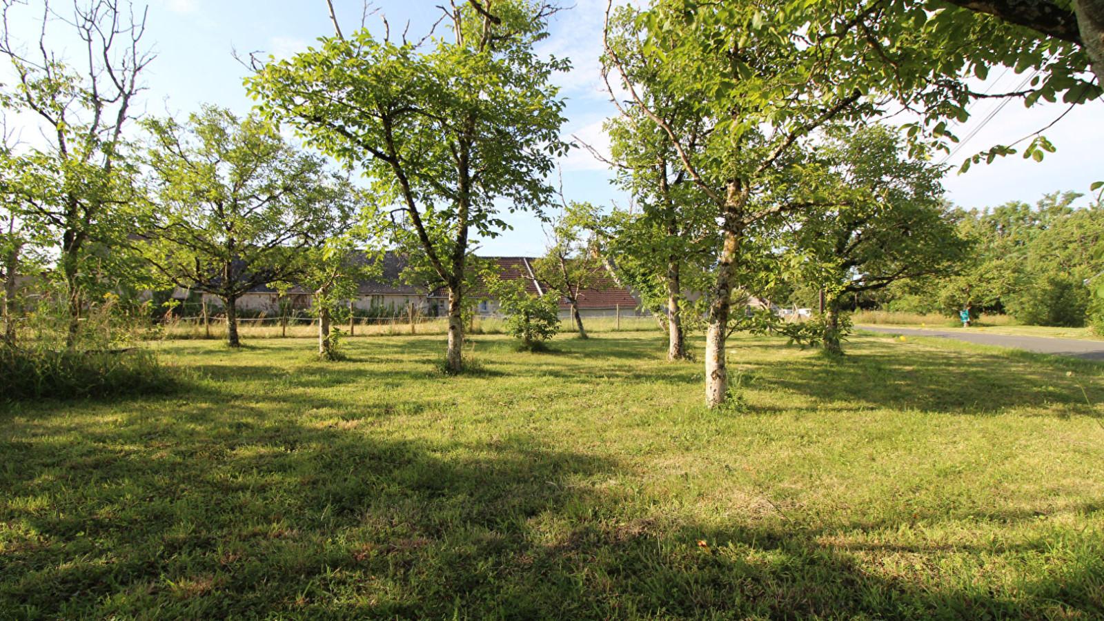 Terrain constructible de 800m2 à Suèvres