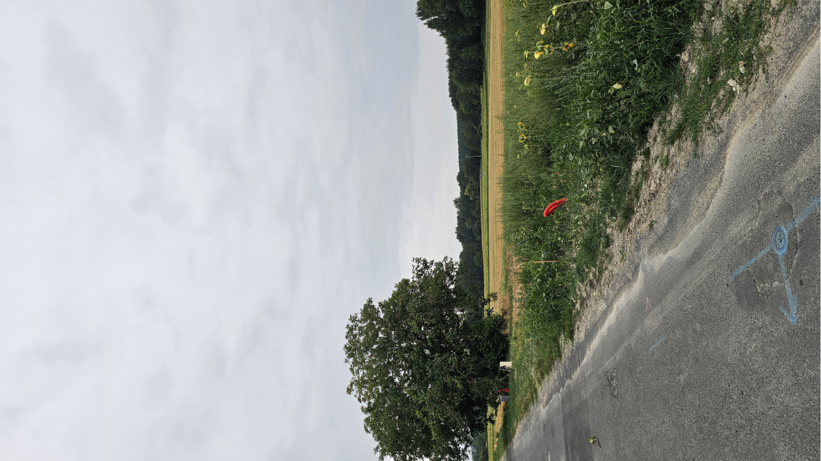 Terrain constructible de 513m2 à Distré