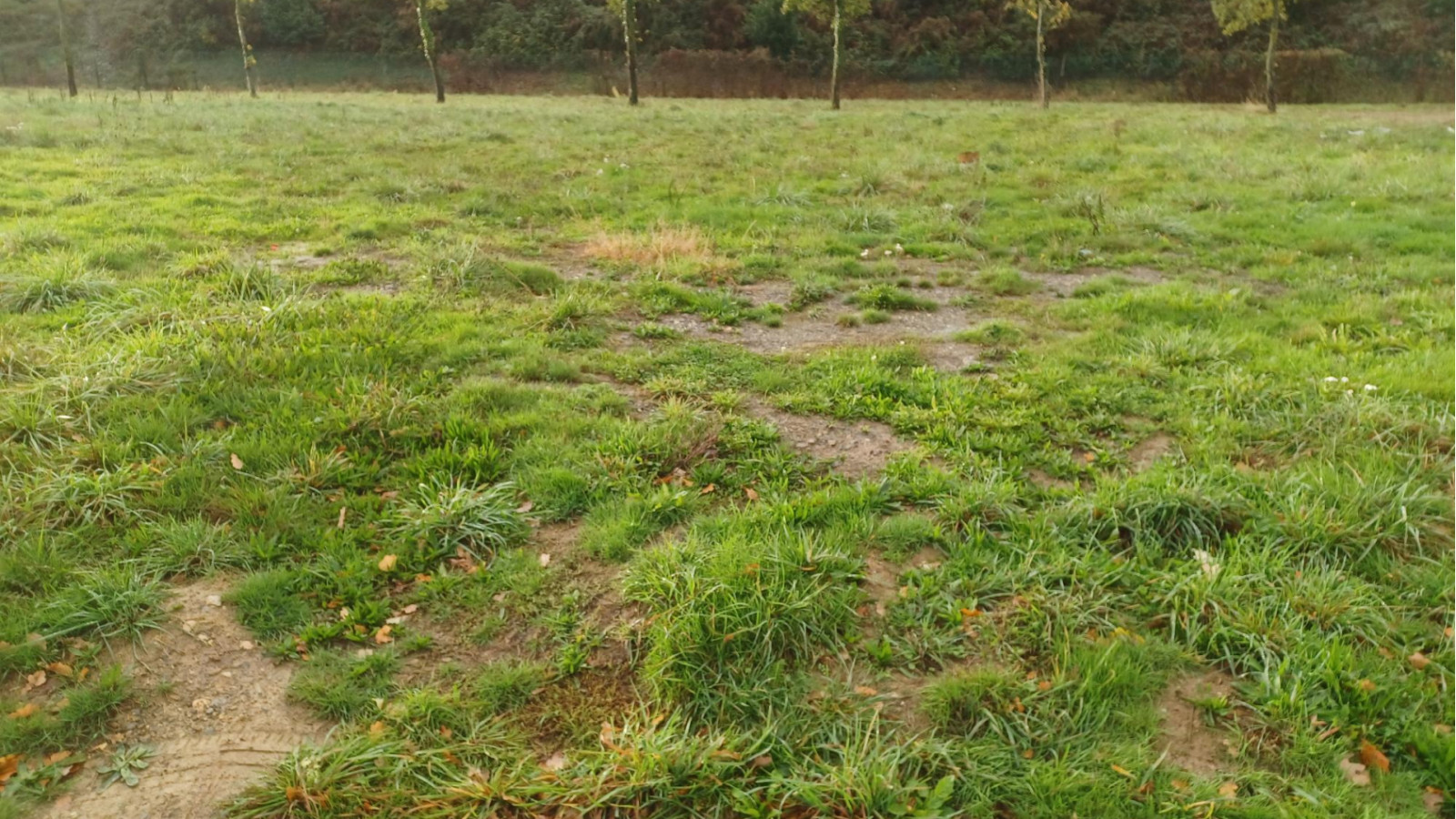 Terrain constructible de 417m2 à Pipriac