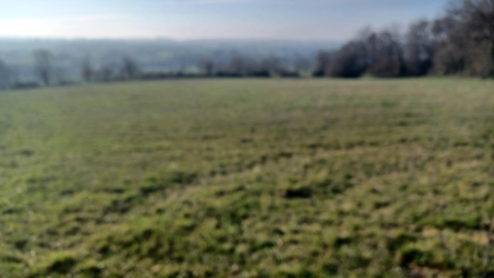 Terrain constructible de 563m2 à Bonnemain