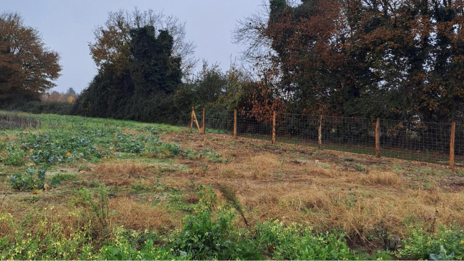 Terrain constructible de 327m2 à Segré-en-Anjou Bleu