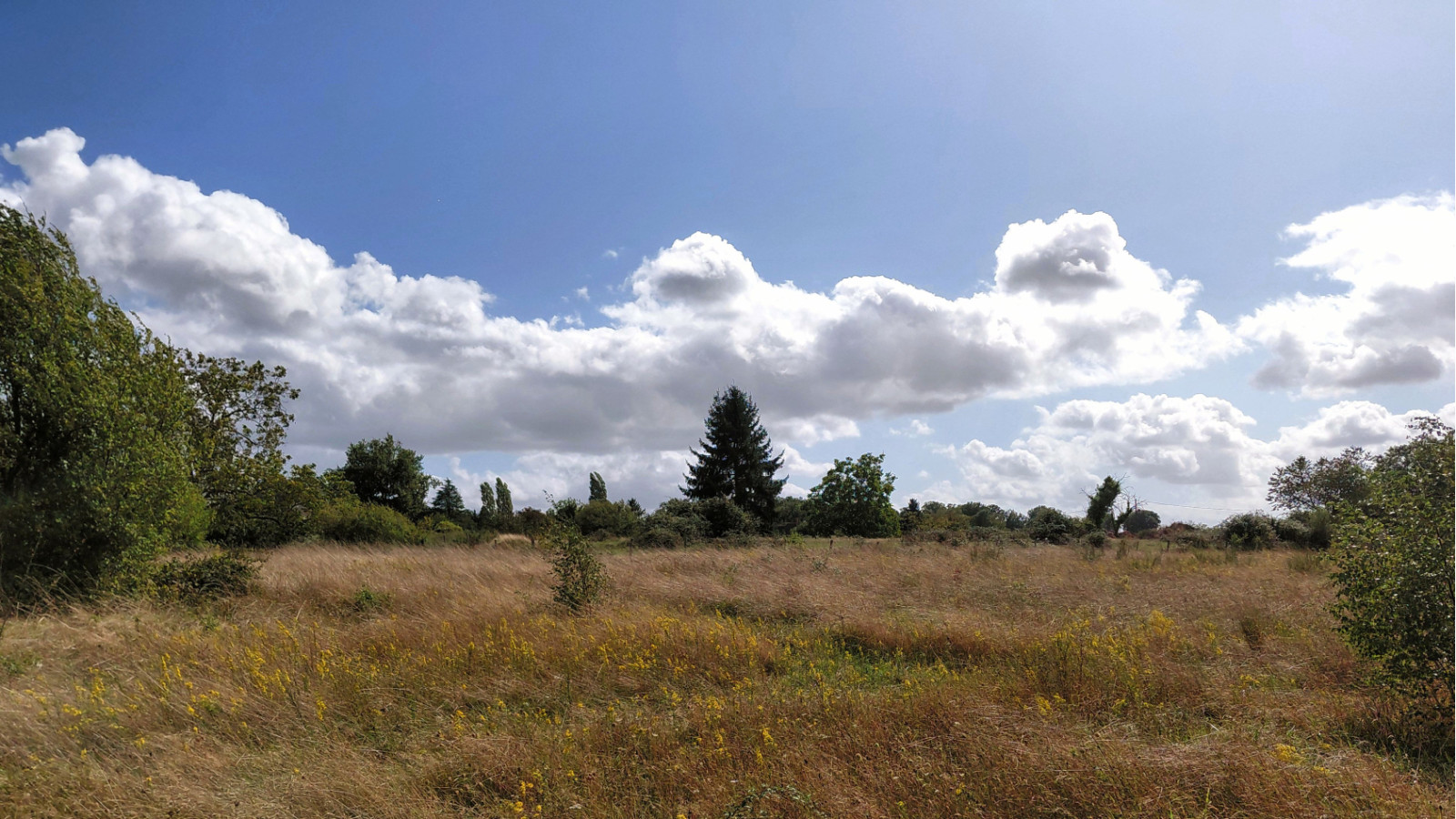 Terrain constructible de 377m2 à Druye