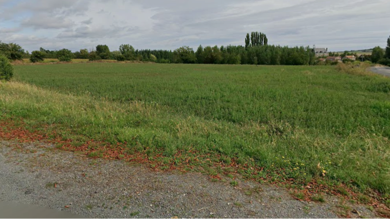 Terrain constructible de 2000m2 à Saint-Jean-de-Sauves