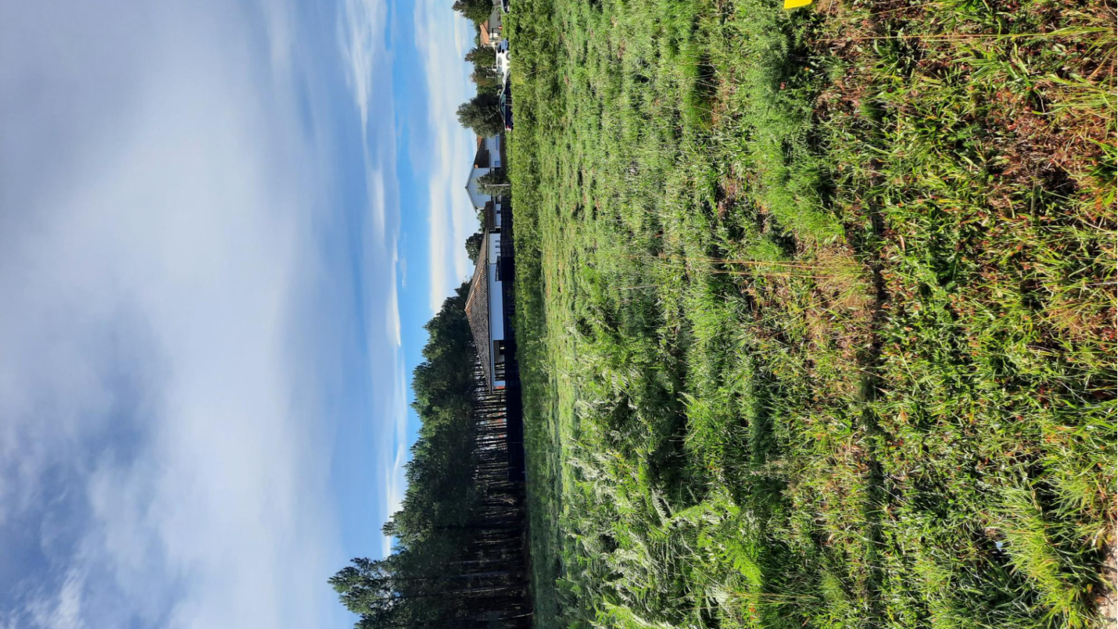 Terrain constructible de 650m2 à Azur