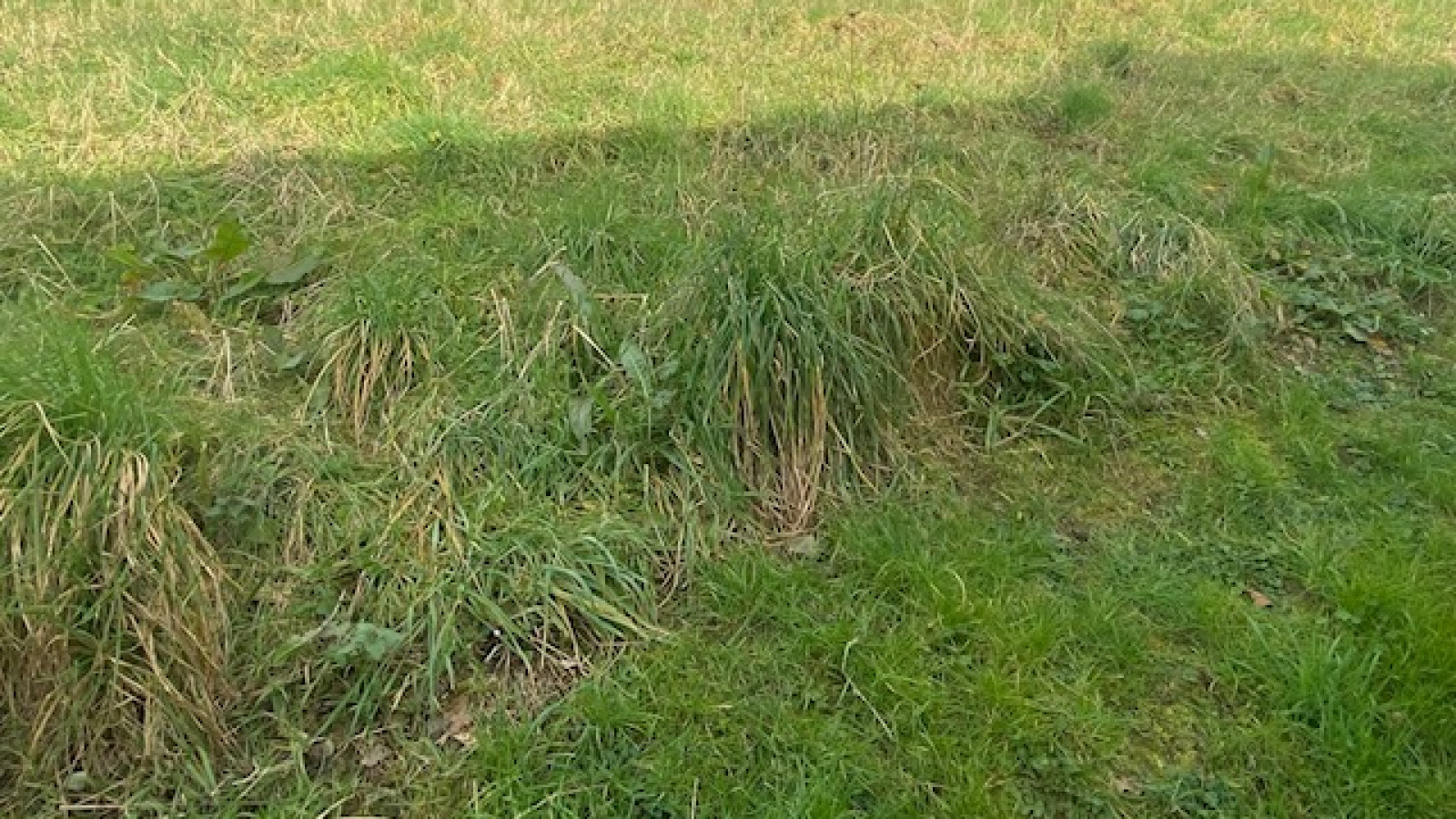 Terrain constructible de 420m2 à Crossac