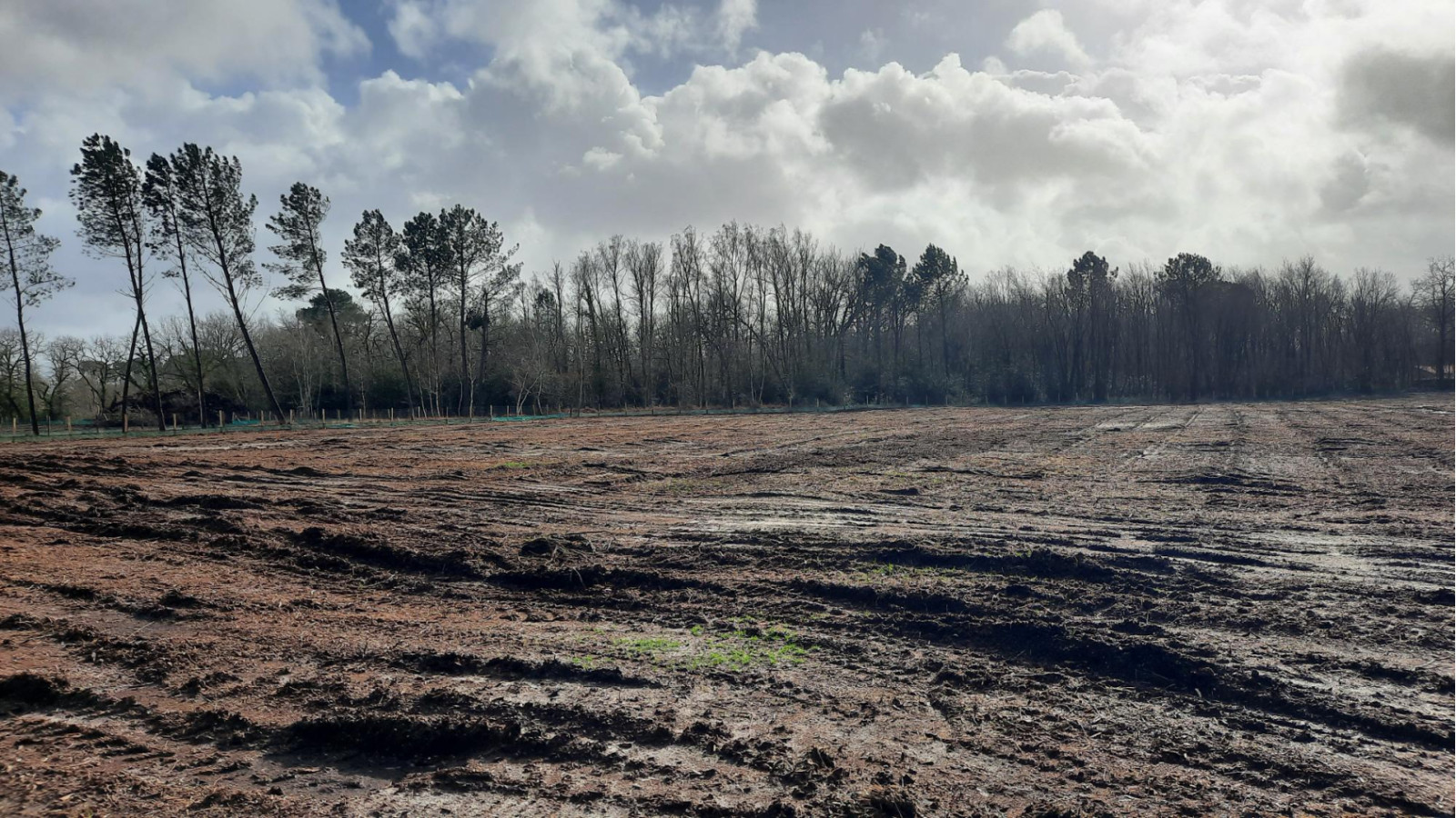 Terrain constructible de 713m2 à Cestas