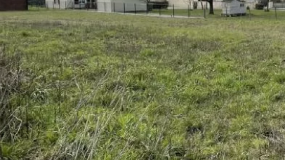 Capture d'écran 2026-01-31 071035.png