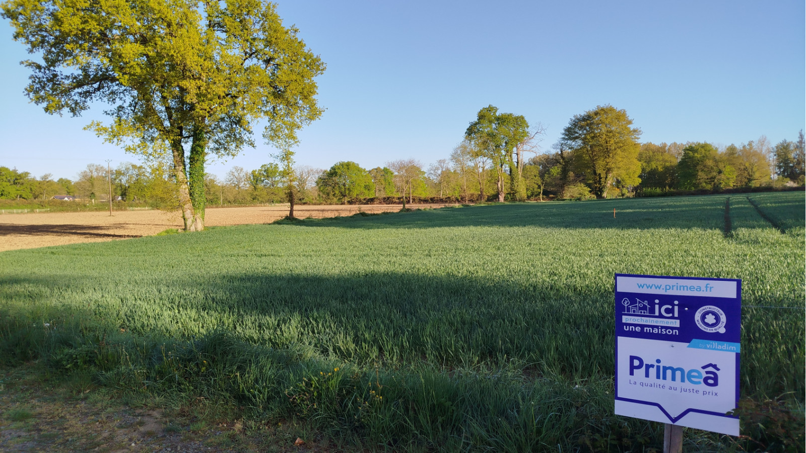 Terrain constructible de 200m2 à La Chapelle-Thouarault