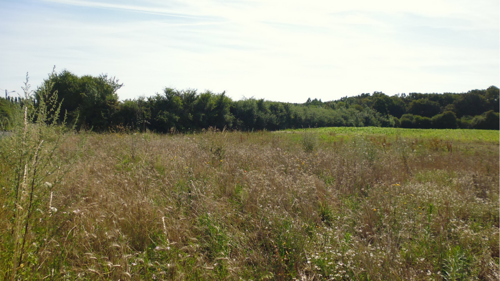 Terrain constructible de 2257m2 à Saint-Maurice-sur-Fessard