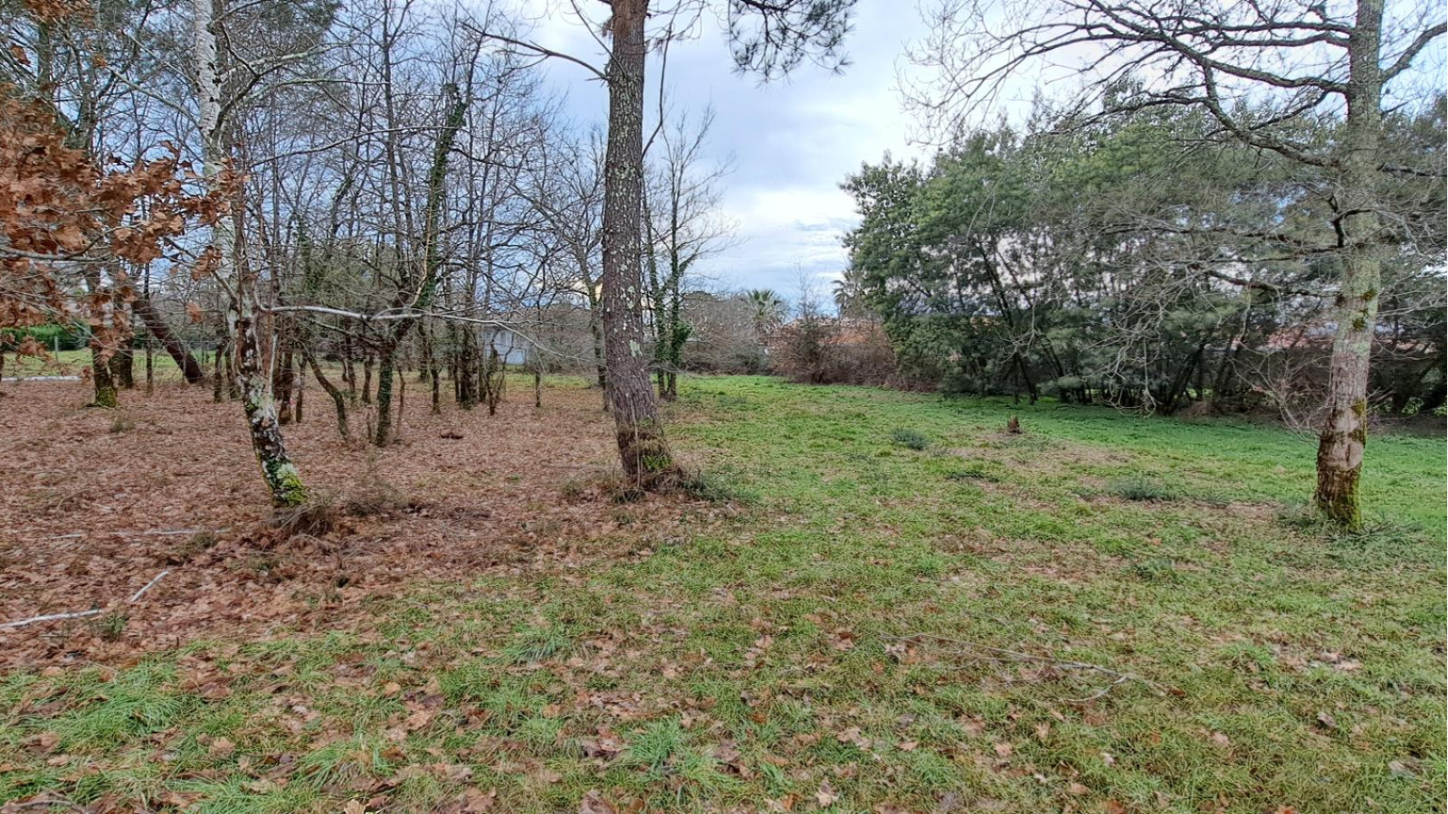 Terrain constructible de 558m2 à Pessac