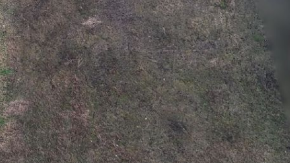 Capture d'écran 2026-03-05 163537.png