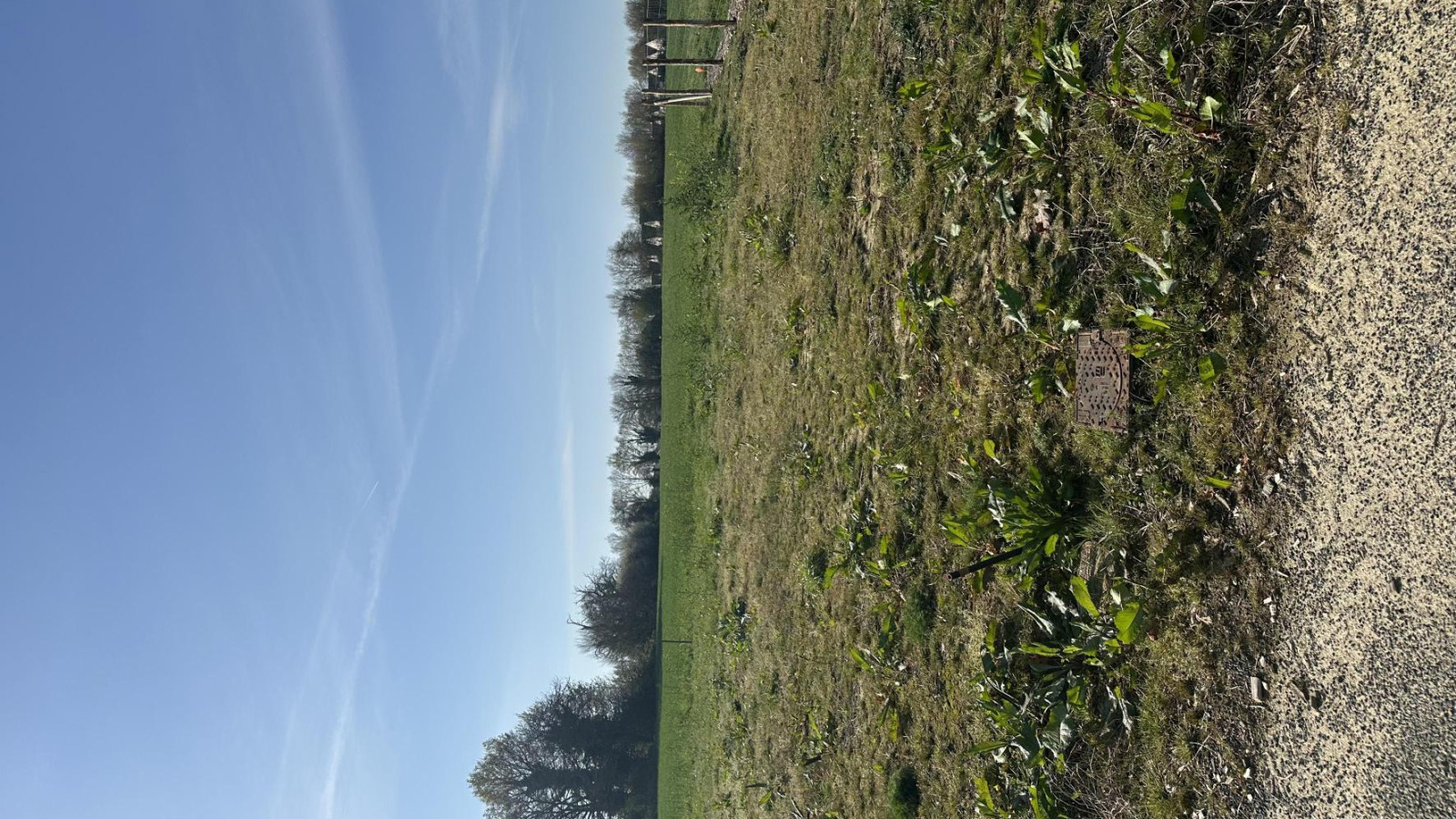 Terrain constructible de 335m2 à Segré-en-Anjou Bleu