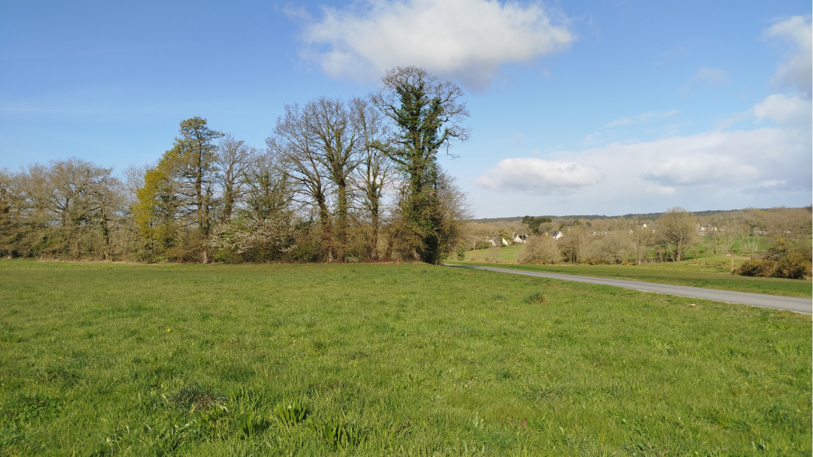 Terrain constructible de 312m2 à Pléchâtel