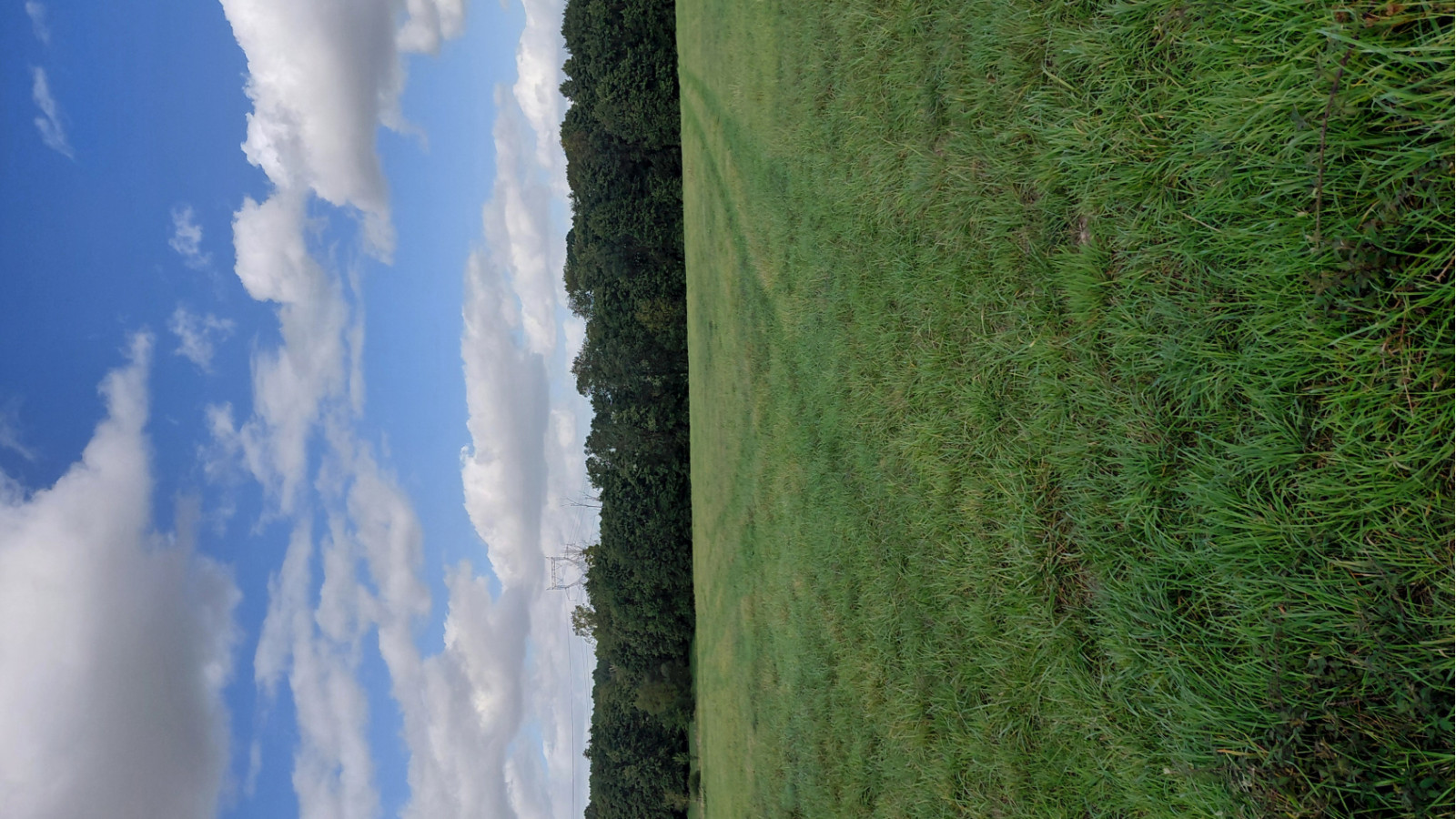Terrain constructible de 509m2 à Beaumont-Louestault