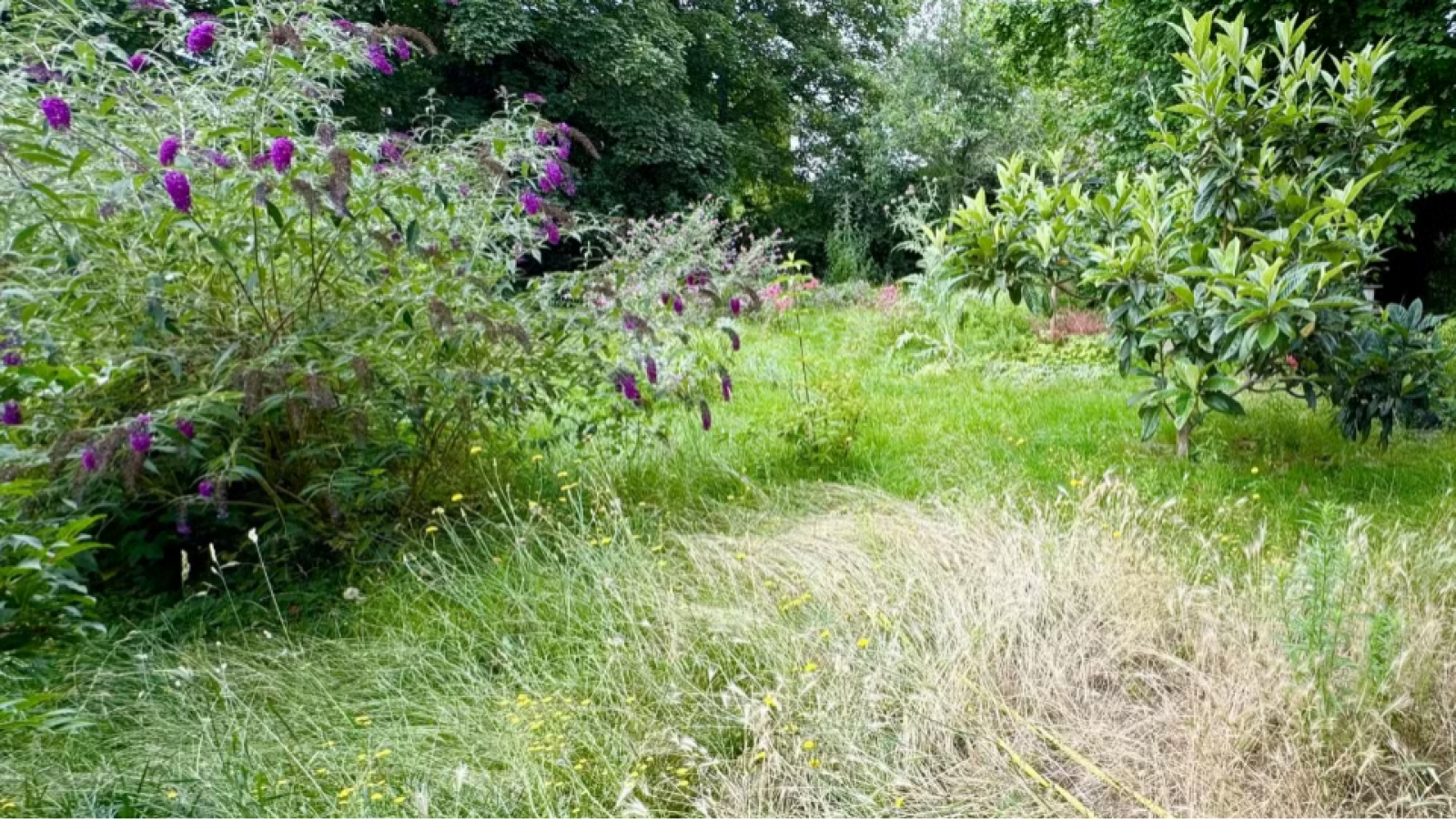 Terrain constructible de 502m2 à Neuville-aux-Bois