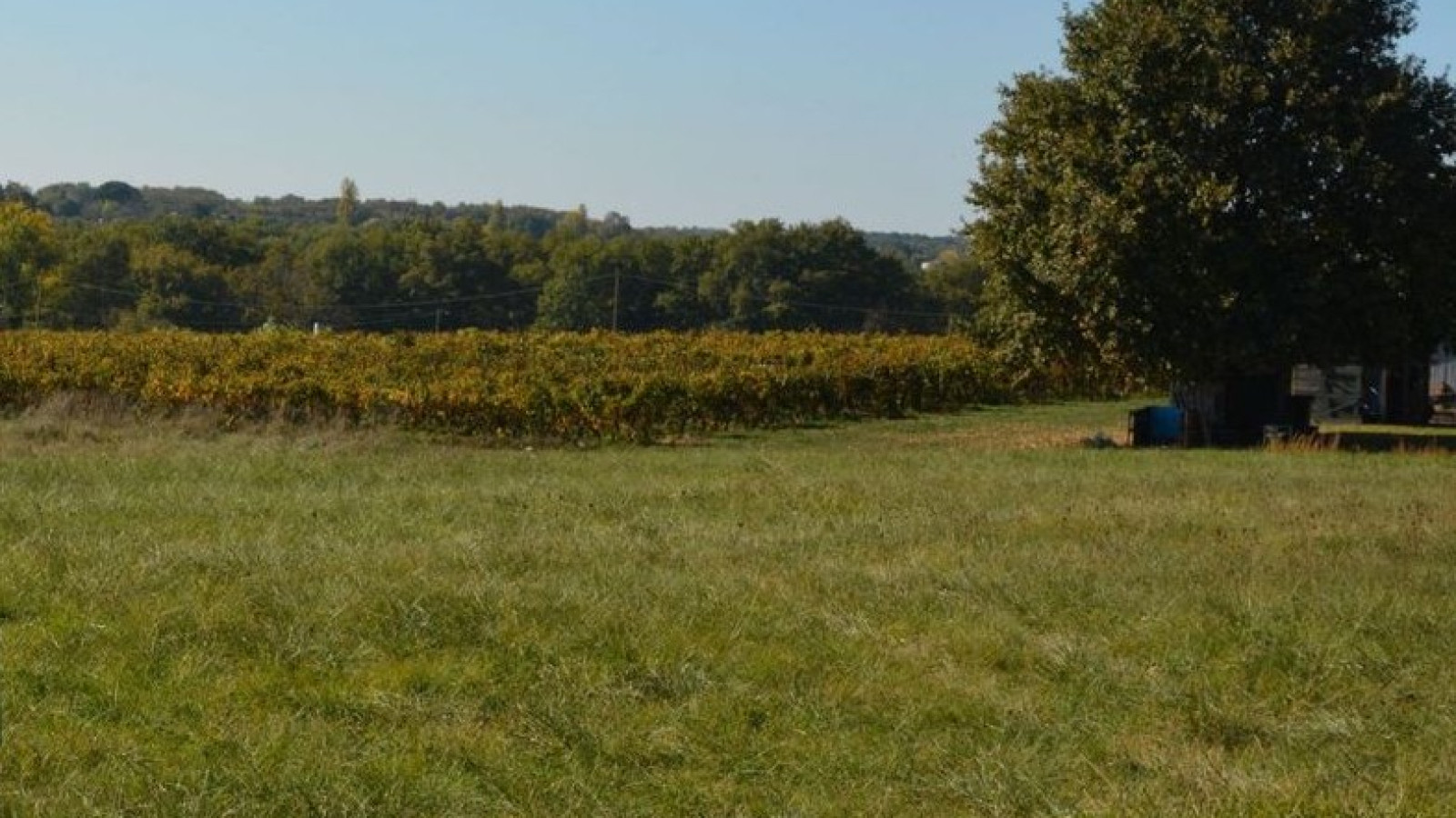 Terrain constructible de 1106m2 à Pellegrue