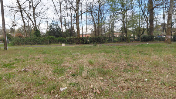 st aubin de médoc 3.jpg