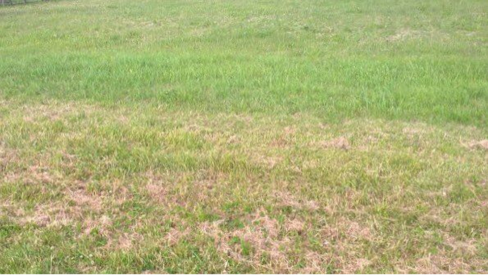 Terrain constructible de 1526m2 à Parçay-sur-Vienne