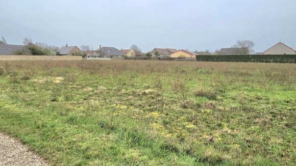 Terrain Trouhans 665 m2.jpg