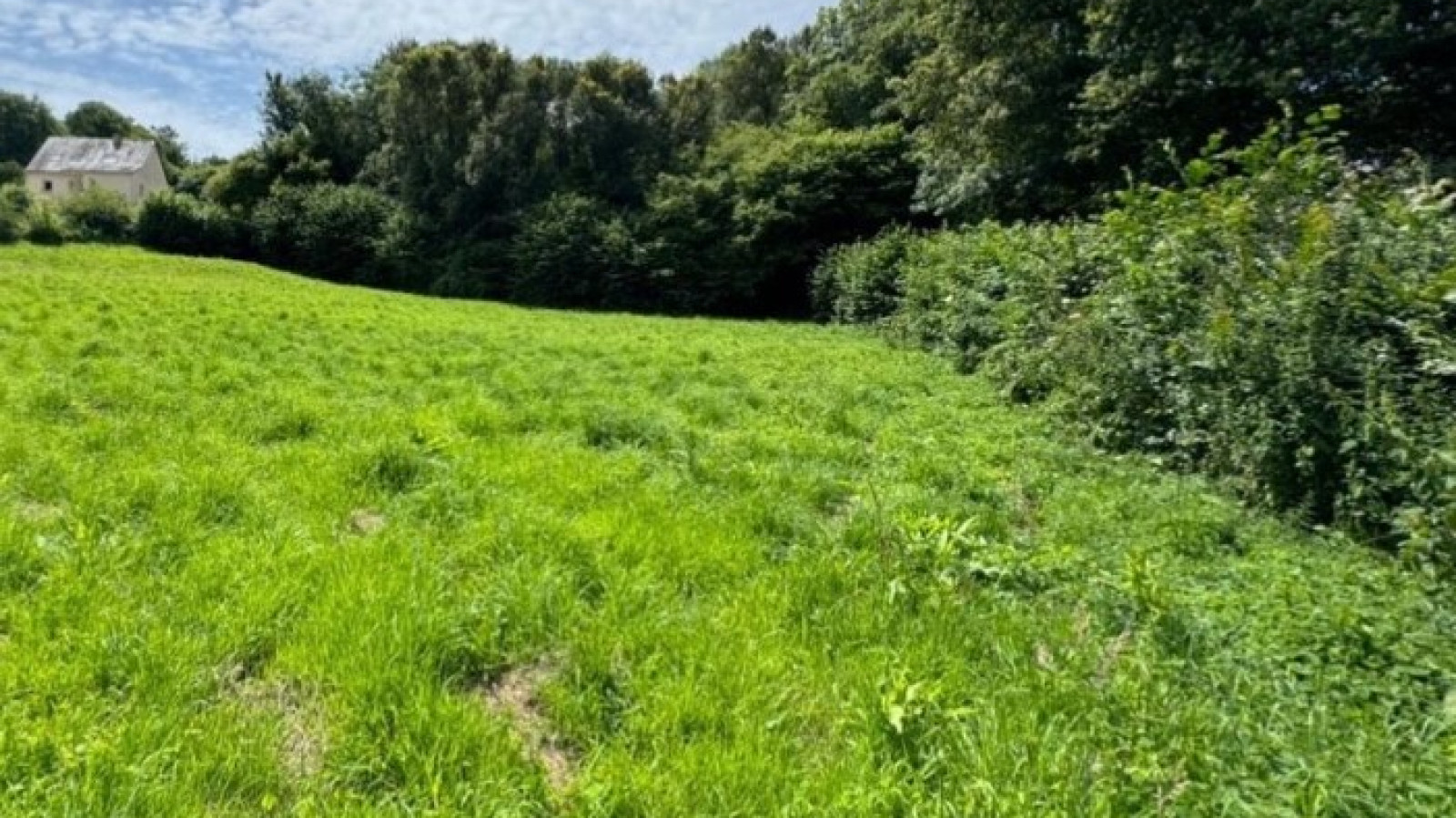 Terrain constructible de 450m2 à Plaudren