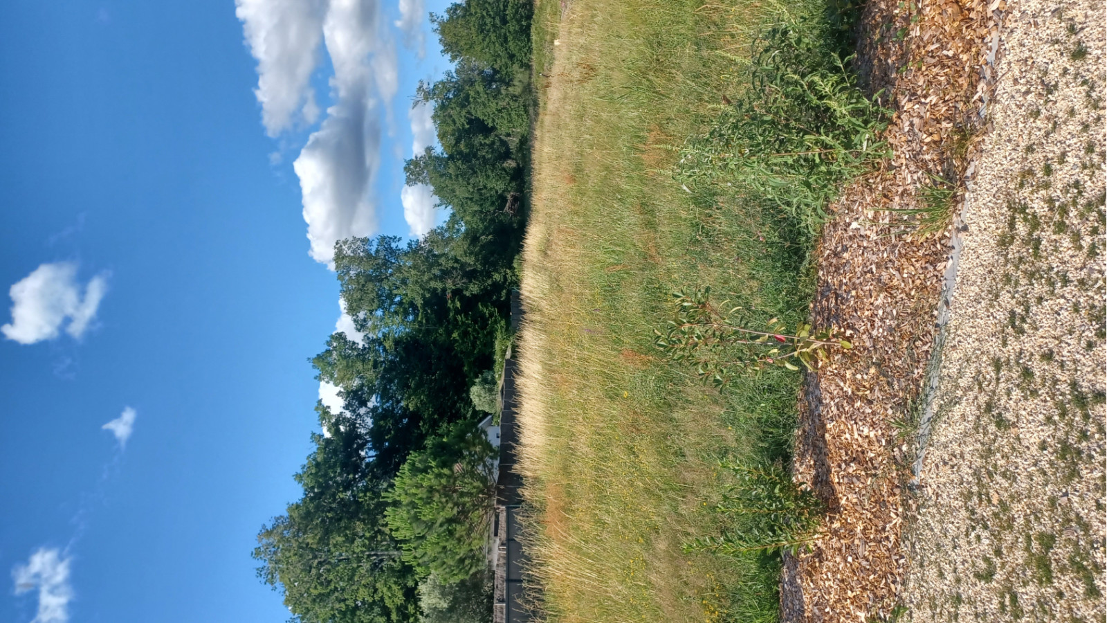 Terrain constructible de 528m2 à Brach