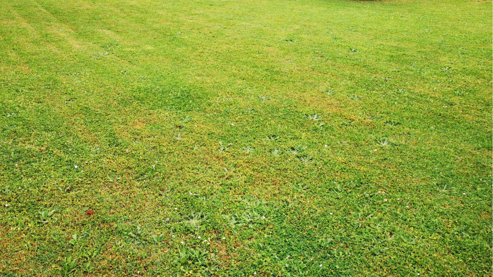 Terrain constructible de 763m2 à Dolus-le-Sec