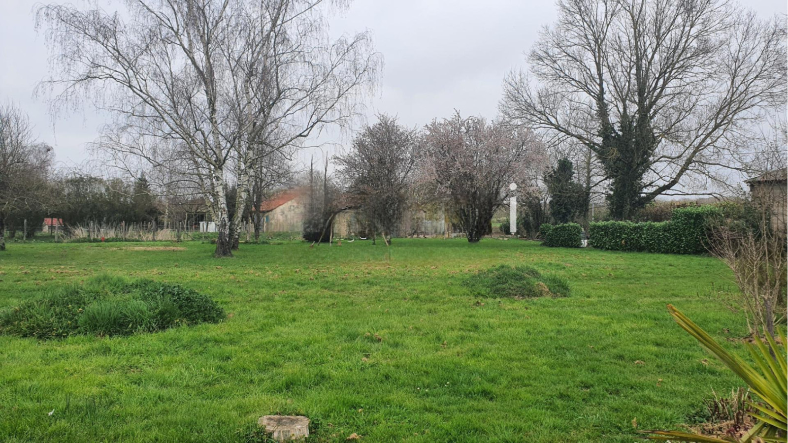Terrain constructible de 6000m2 à Laperrière-sur-Saône