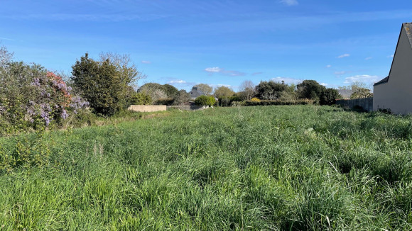 belz domaine de ker nevez2.jpg