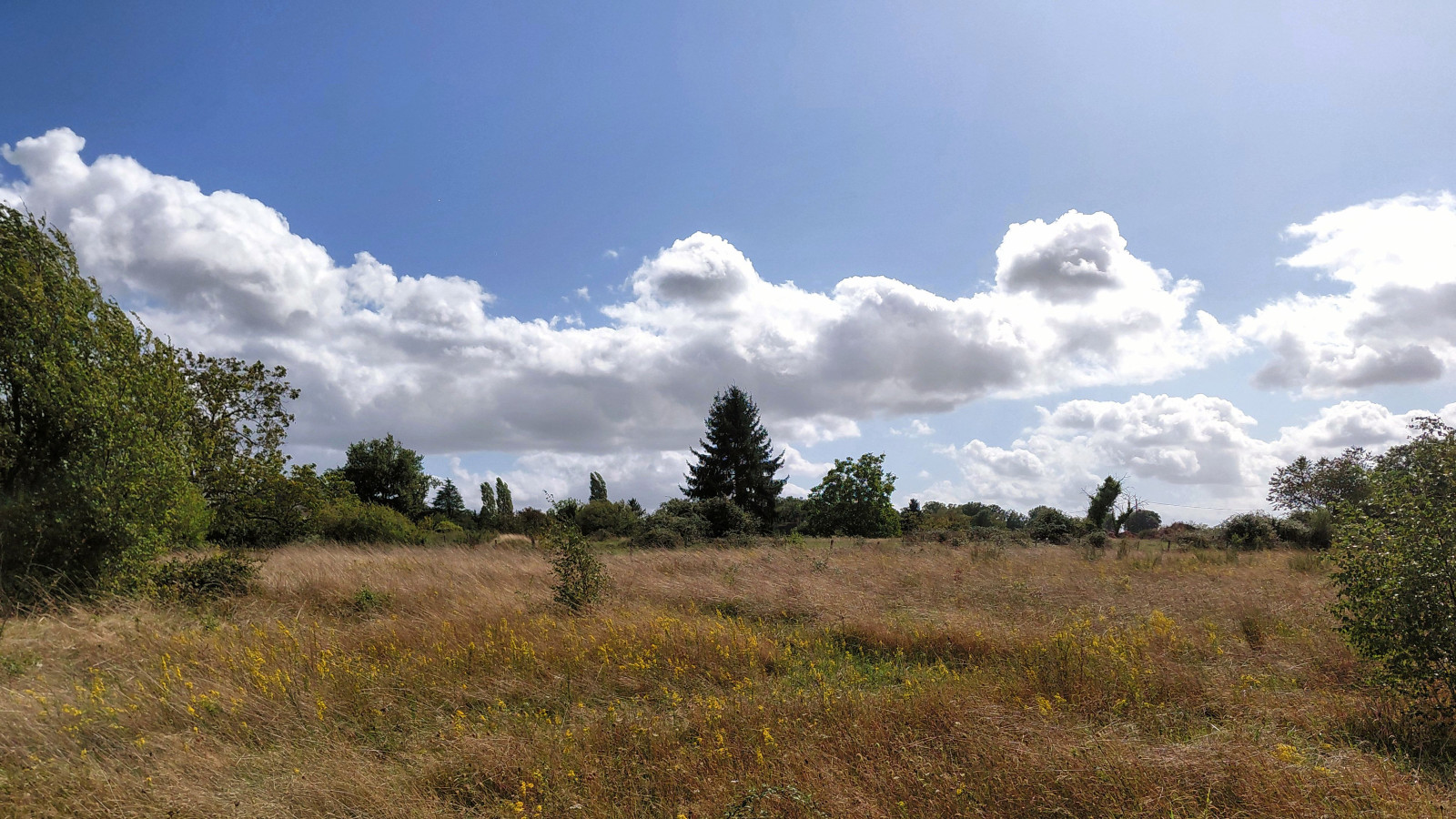 Terrain constructible de 569m2 à Cormery