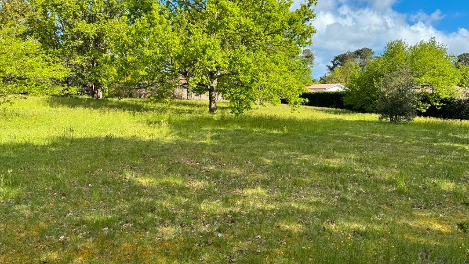 Terrain constructible de 800m2 à Lège-Cap-Ferret