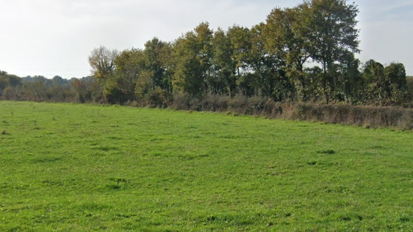 Terrain constructible de 1350m2 à Bouvron