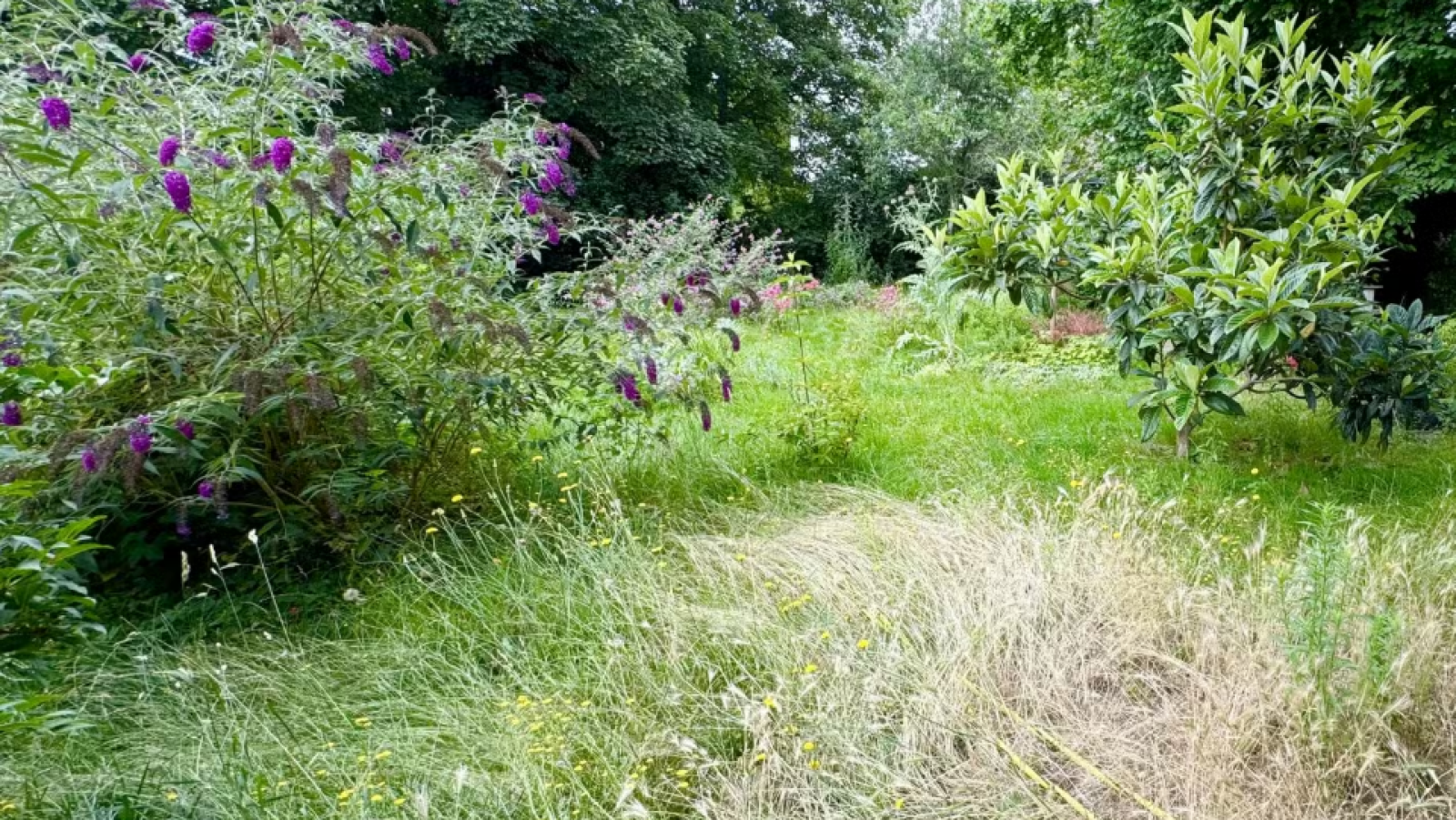 Terrain constructible de 573m2 à Beaugency