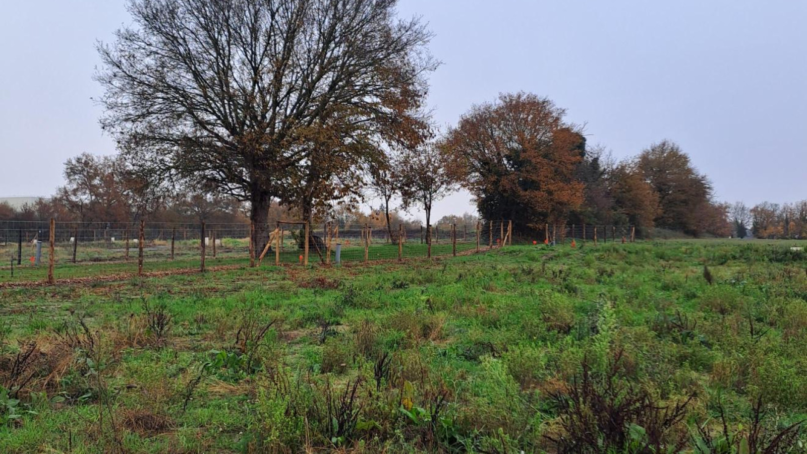 Terrain constructible de 312m2 à Segré-en-Anjou Bleu
