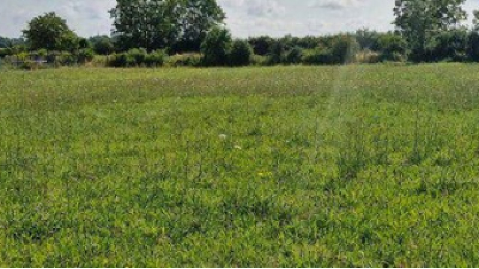 Terrain constructible de 800m2 à Savigné-sur-Lathan