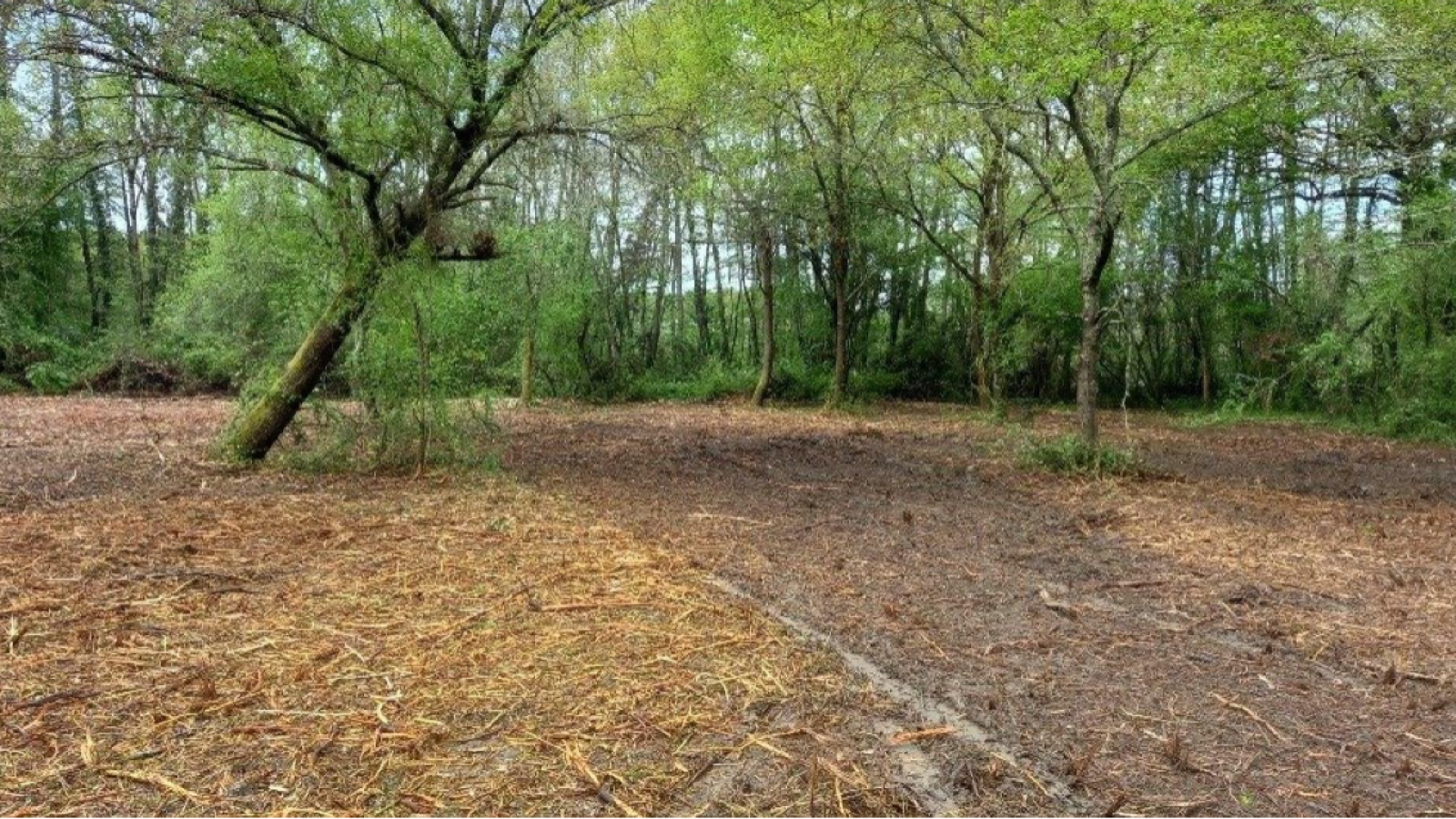 Terrain constructible de 600m2 à Cestas