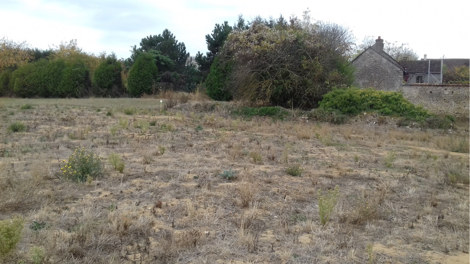 Terrain constructible de 1205m2 à Saint-Maurice-sur-Fessard