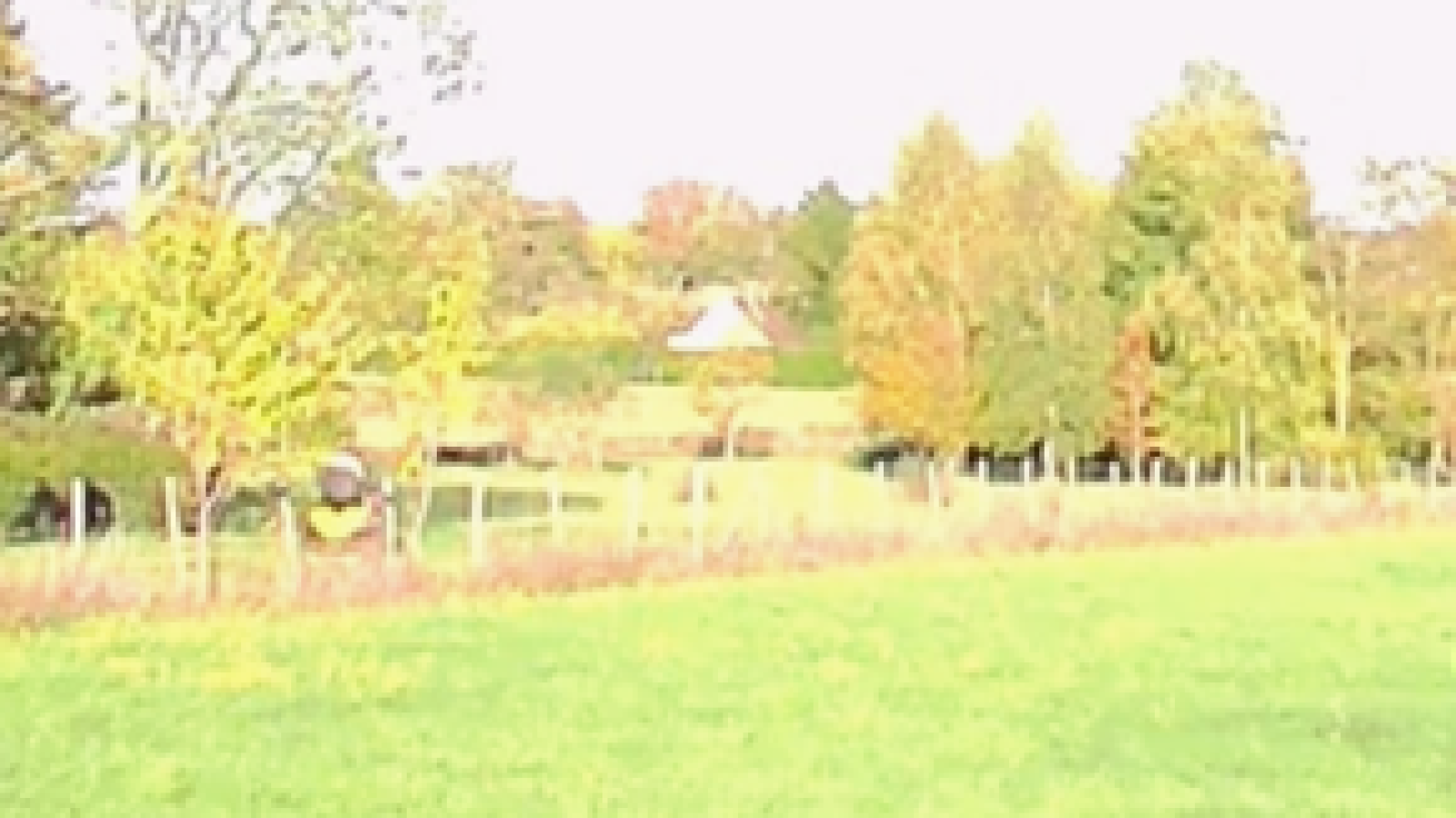 Terrain constructible de 2650m2 à Vernoy